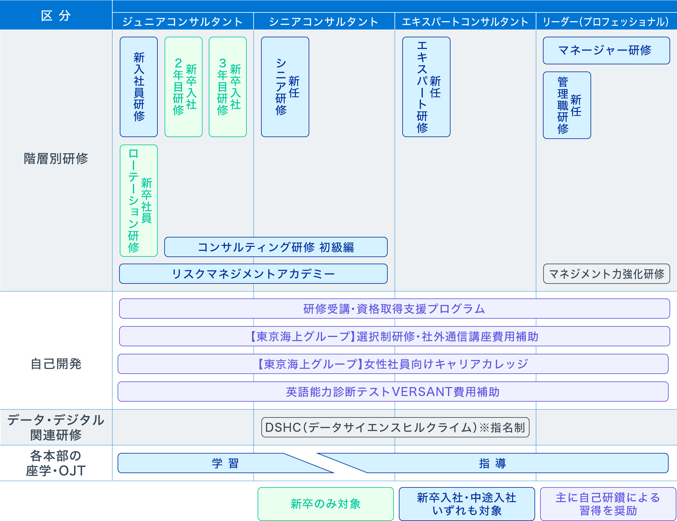 東京海上ディーアールの研修体系